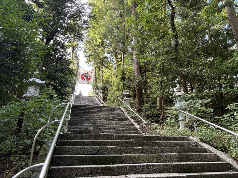 蚊がわんさか
