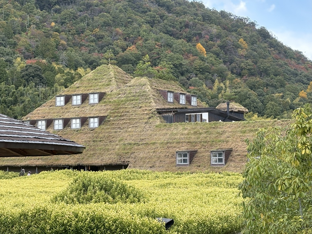 2025年で10周年を迎えた「ラ コリーナ近江八幡」