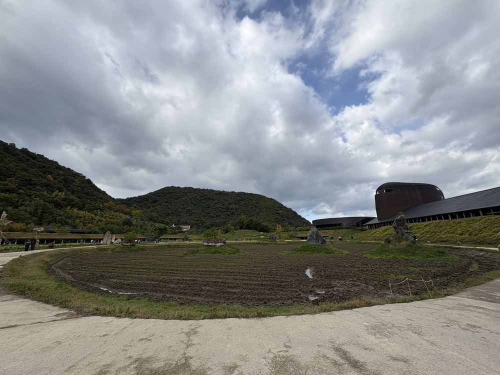 収穫を終えた田んぼの様子