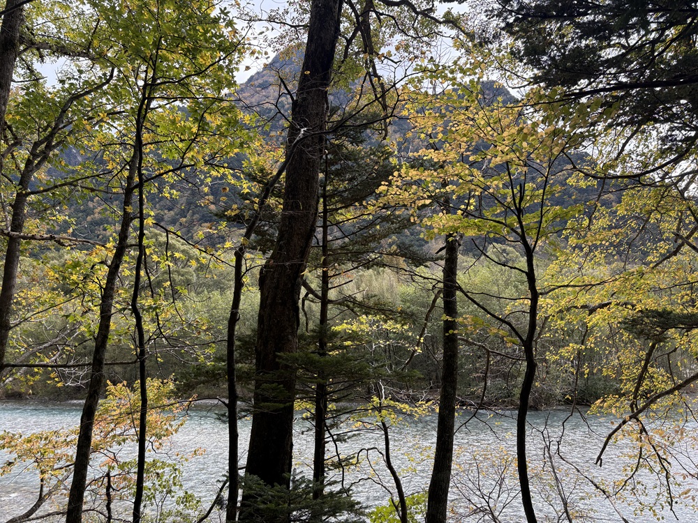 ところどころ色づく木々