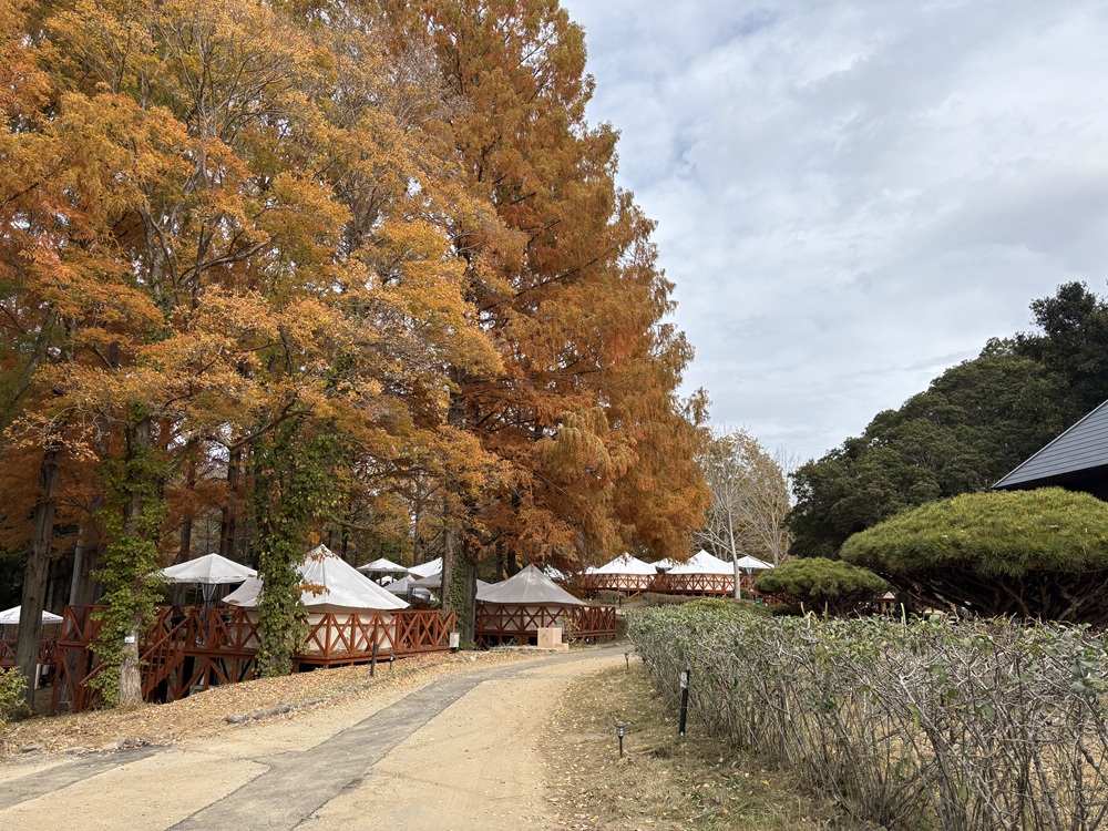 団体旅行も受入OK!日本初の“泊まれる植物園”「THE BOTANICAL RESORT 林音」ってどんなとこ?