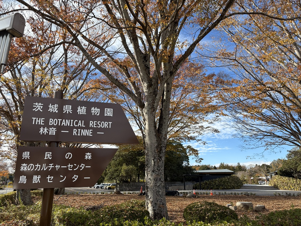 茨城県植物園内にオープンしたリゾート