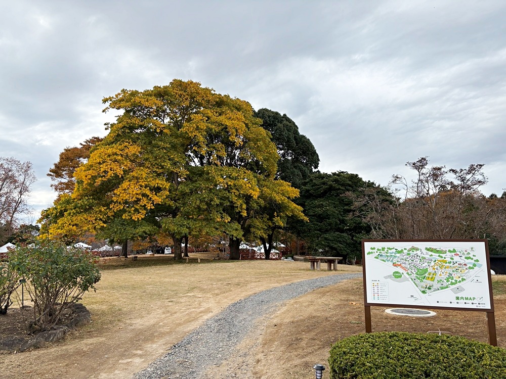 リニューアル後は入園料無料に
