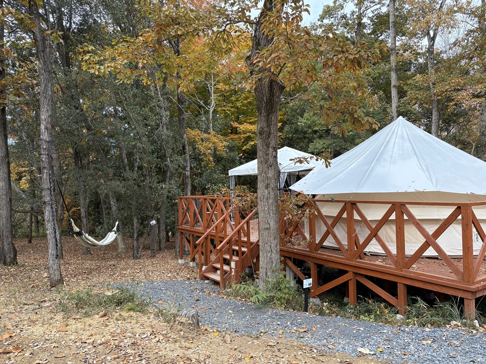 グランピング「ハンモックテラス」