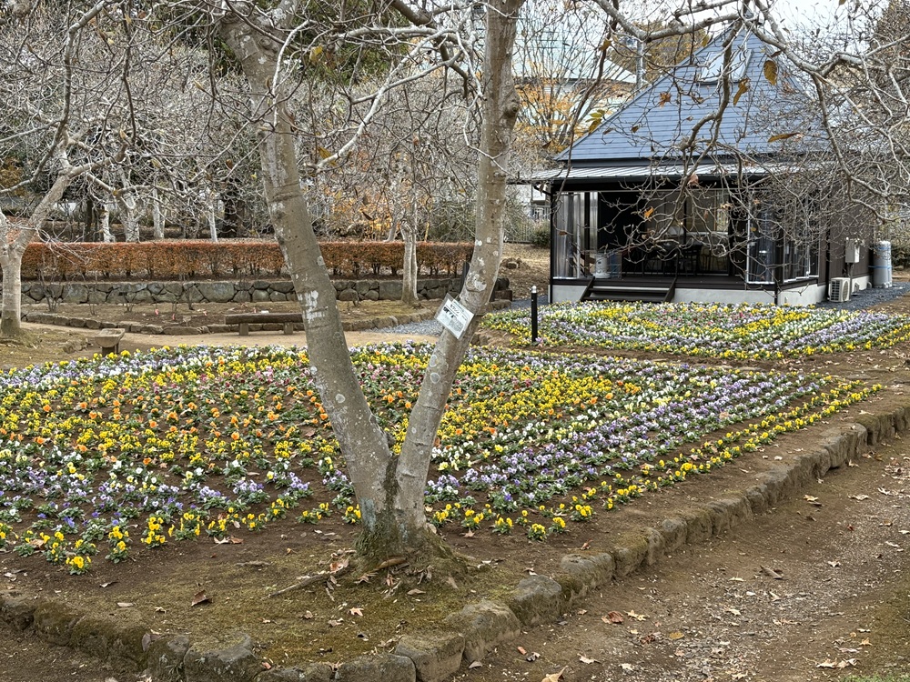 お部屋から眺めるお花畑が魅力の「ボタニカルコテージ」