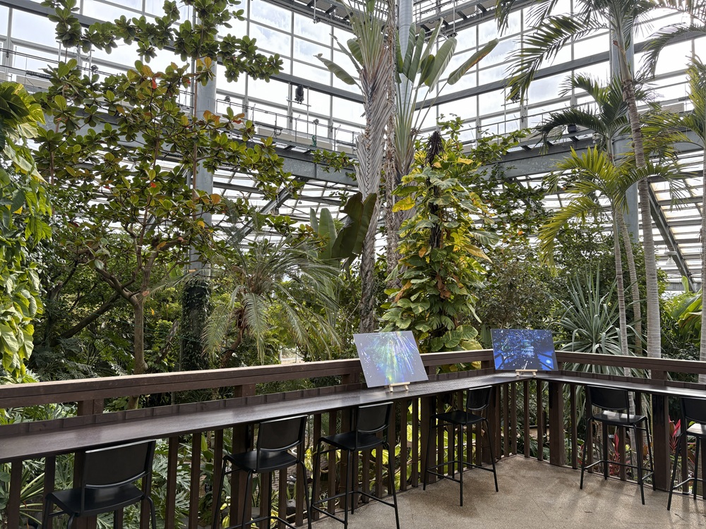 宿泊者の特権！ナイトアクティビティ「RINNE LIGHTS（リンネライツ）」