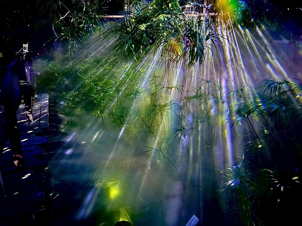 ライトアップショー