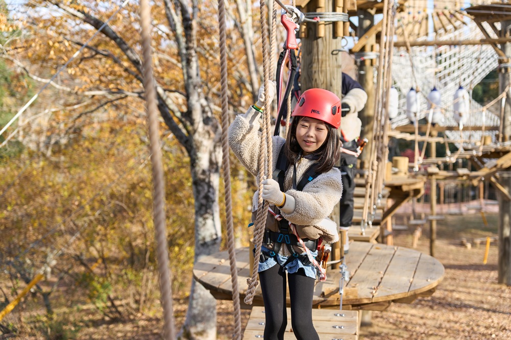 ツリーアドベンチャー