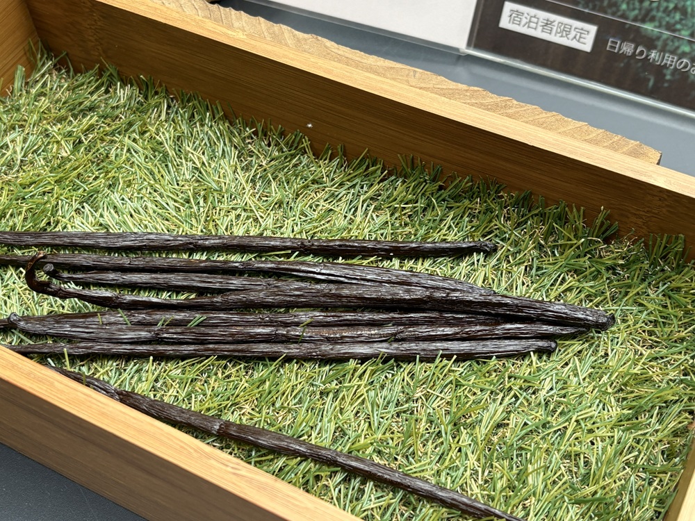 バニラビーンズ