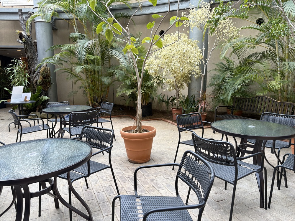 「バニラドームカフェ」