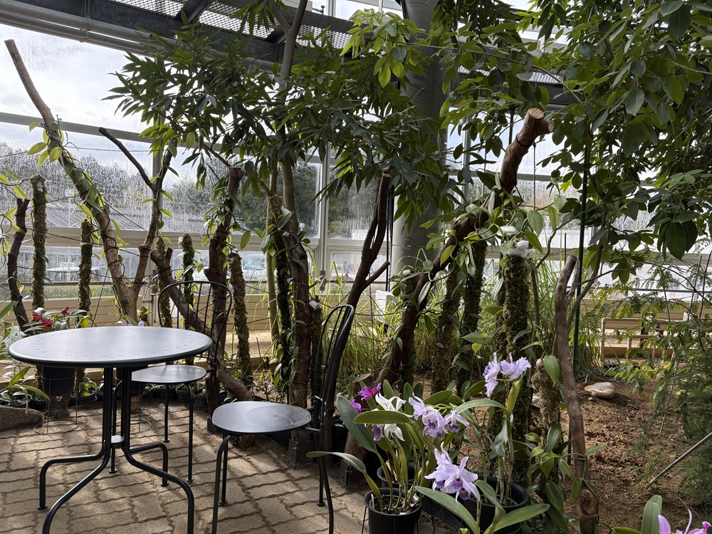 バニラの木に囲まれたカフェスペース