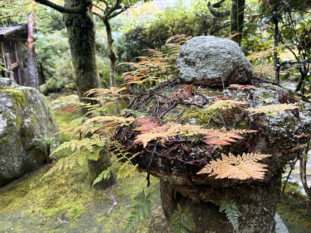 お庭の美しさは格別の旧竹林院