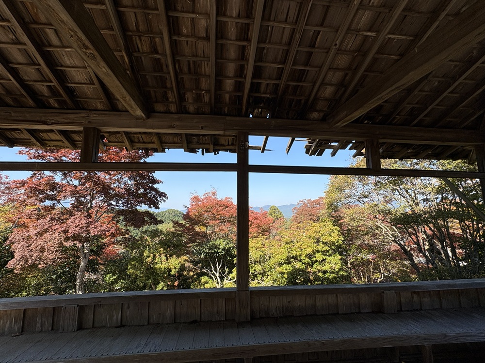 高台の東屋からは絶景が