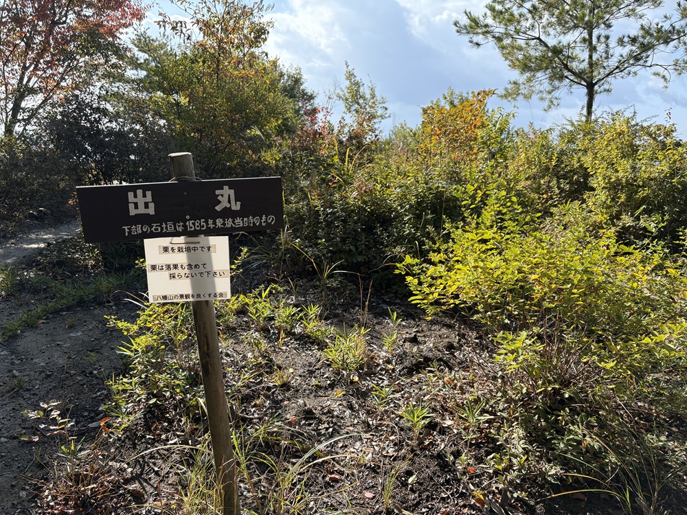 八幡山城　出丸跡