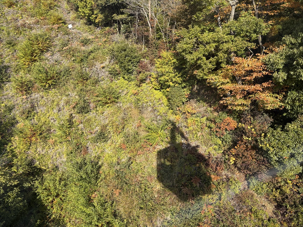 約4分の空中散歩