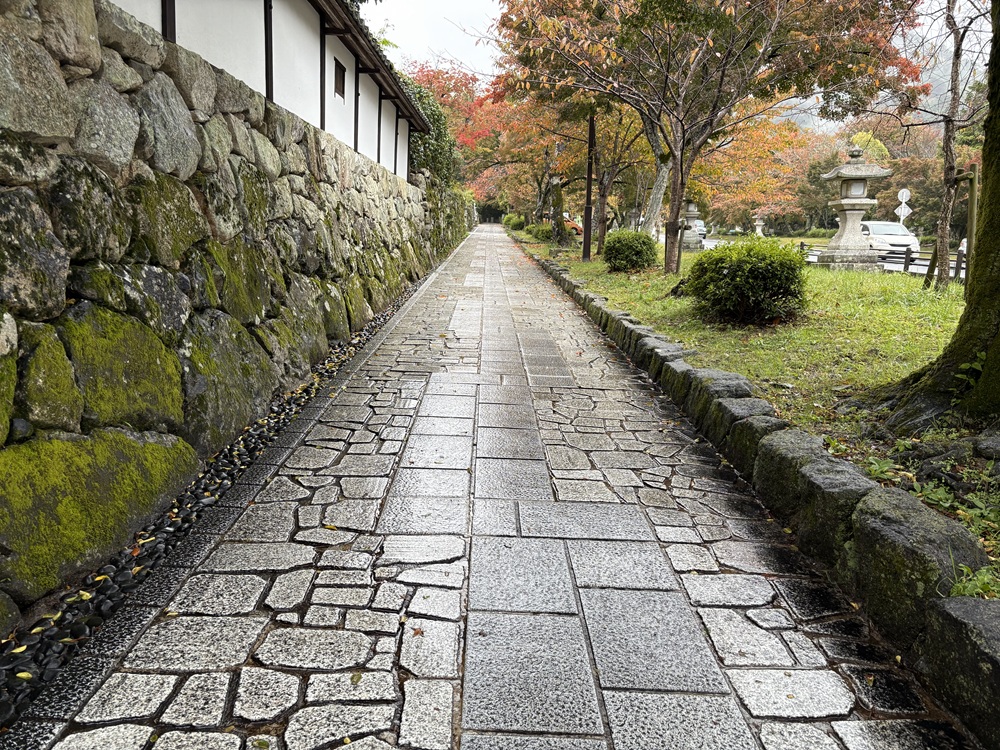 雨に濡れた石畳みが雰囲気たっぷり