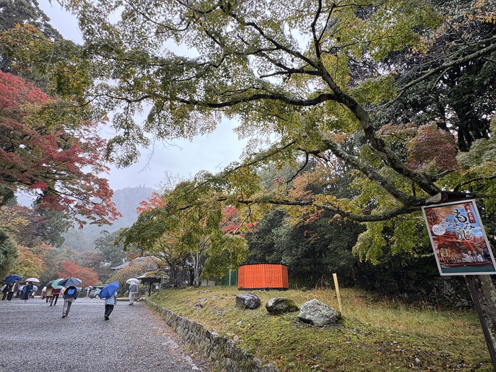 もみじ祭りは11月1日から始まっています