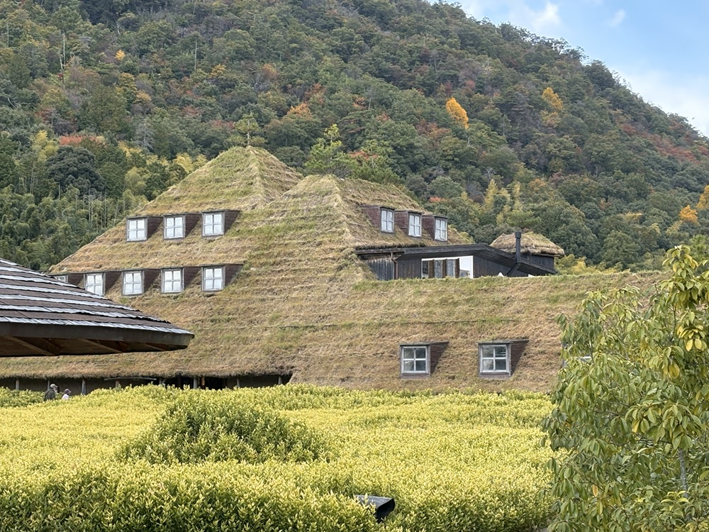 草屋根が印象的なメインショップ