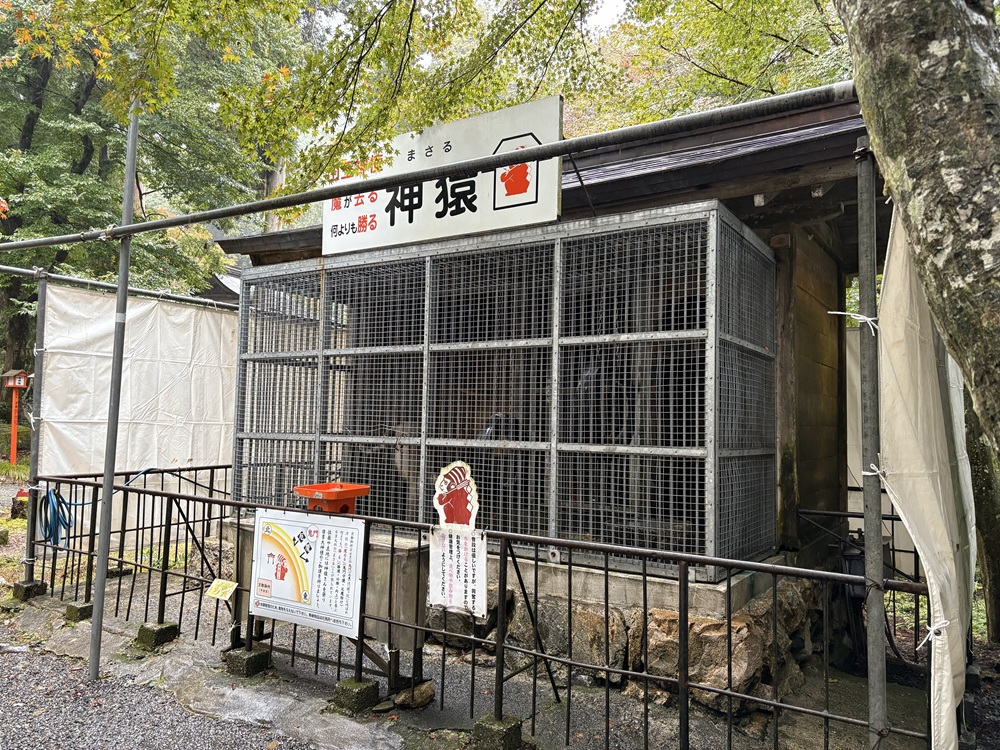 神猿（まさる）