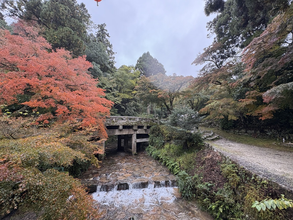 大宮橋を走井橋から見る