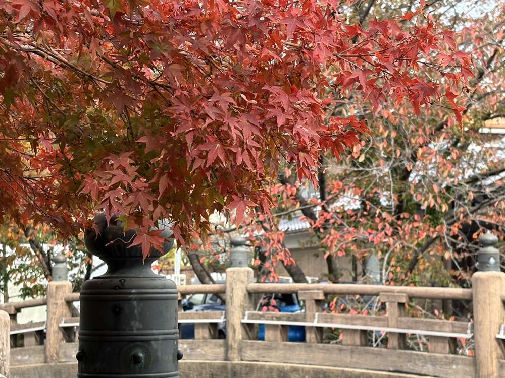近江八幡を日帰り観光