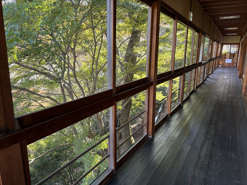 修業体験も可能