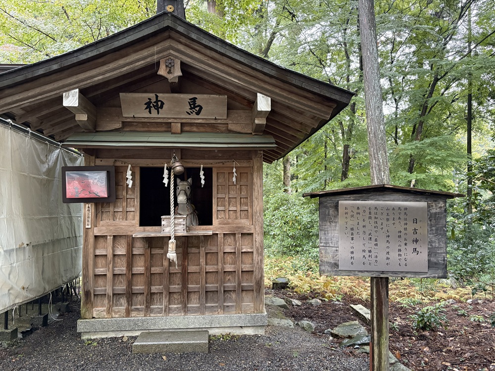 日吉大社の神馬