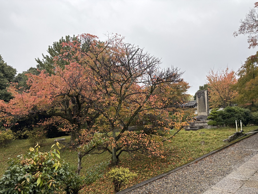 やや紅葉が始まっている養源院