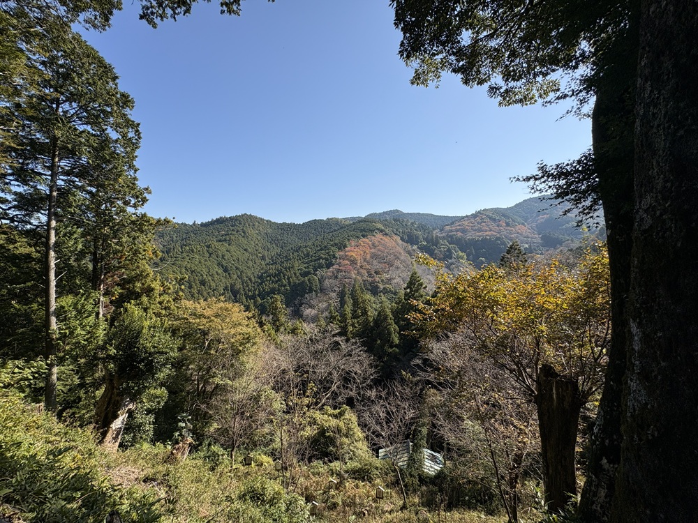 吉水神社からの眺め（一目千本）
