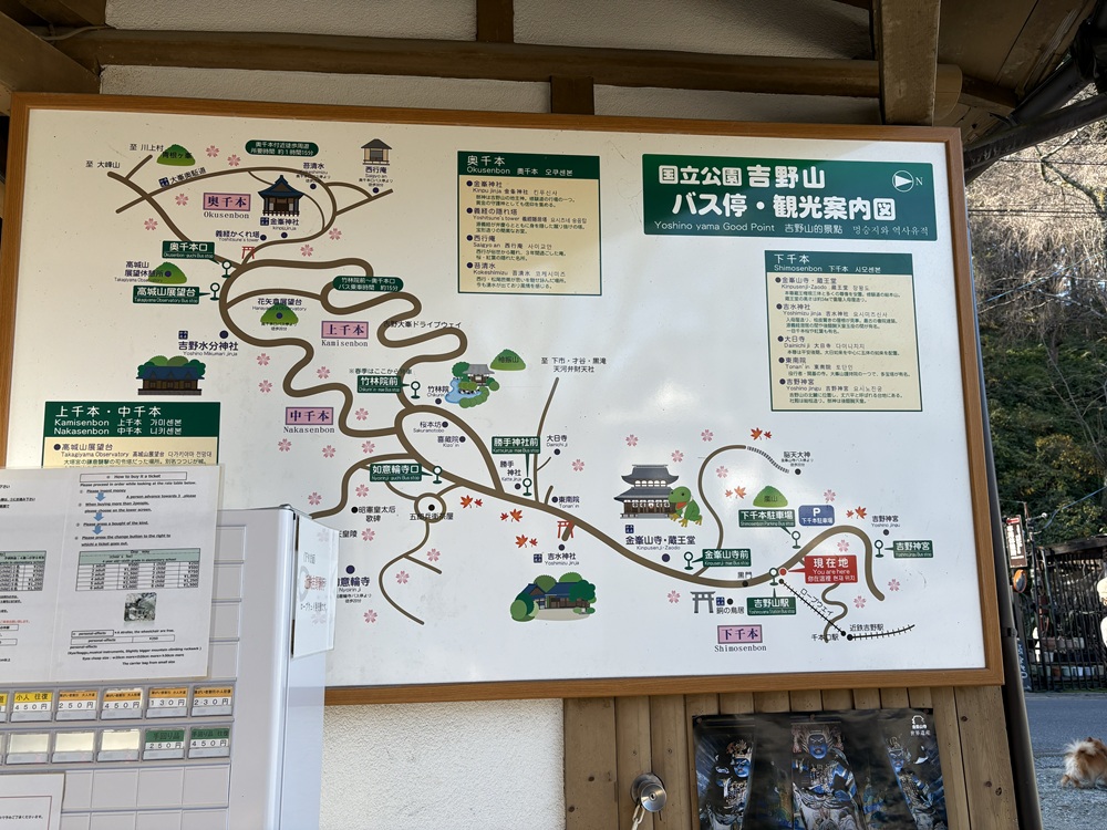 標高と桜の開花時期に合わせて4エリアに分かれている吉野山