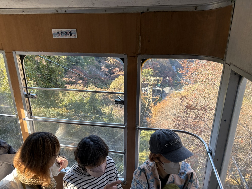 下りのロープウェイ内からパチリ