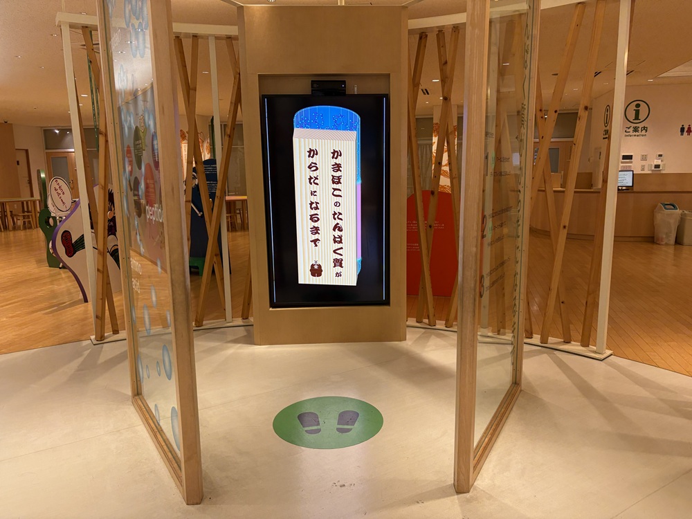 かまぼこのたんぱく質がからだになるまで