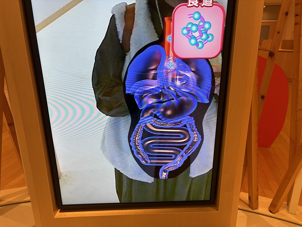 かまぼこを摂取すると…