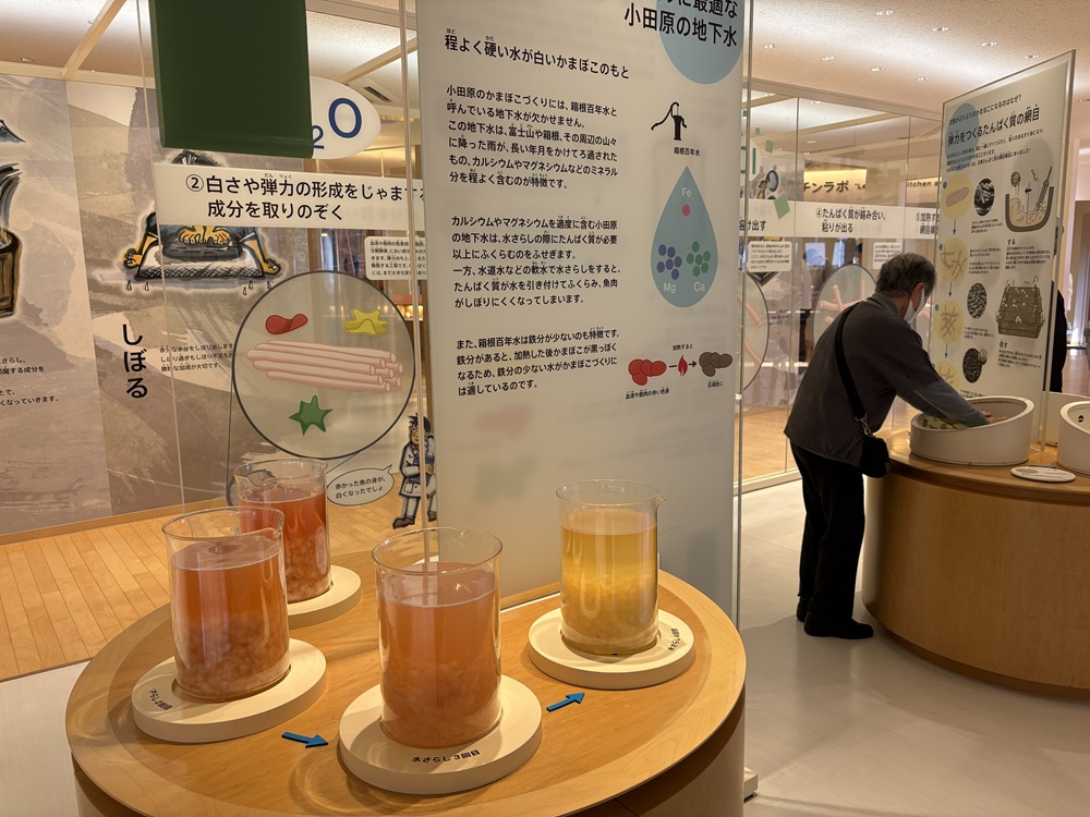 かまぼこが白いわけや弾力の秘密を解説