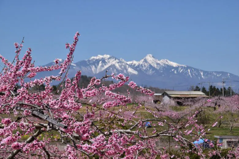  山梨へ観光バス旅行！おすすめの休憩スポット「道の駅 にらさき」