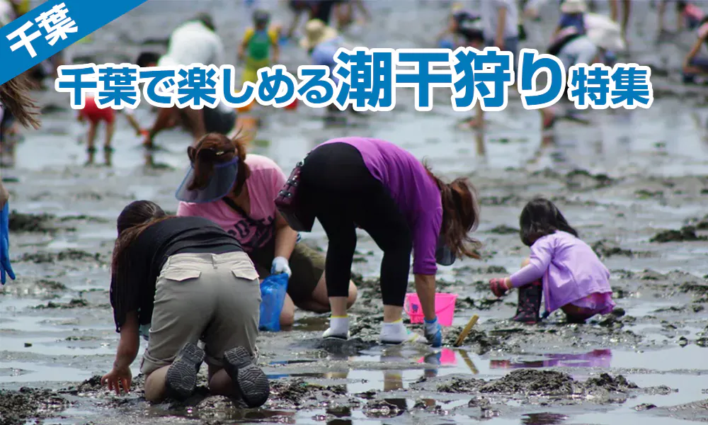 バスレクにおススメ!千葉県で楽しめる潮干狩り特集